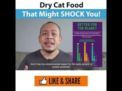 Shocking Truth Unveiled: The Secret Ingredient in Cat Food Revealed