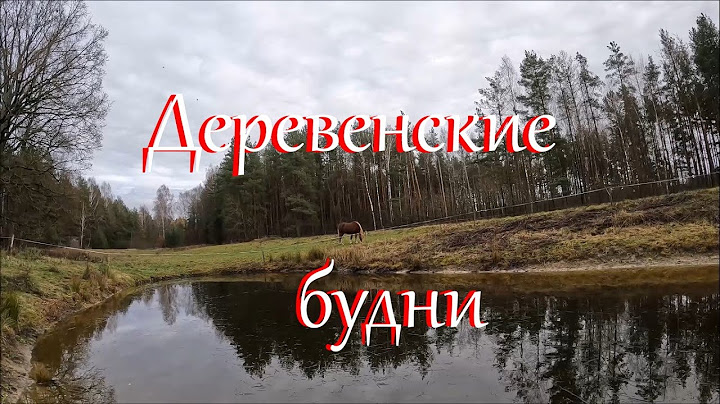 Зима пришла, а недоделки остались.) Жизнь на Лесном Хуторе.