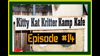 Kitty Kat Kritter Kamp Kafe, episode 14