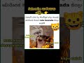 මොකෝ අප්පා මේ... 🐱😂 #videovlog #youtube #shorts