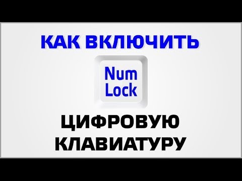 Как включить цифровую клавиатуру