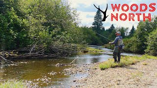 OFF THE BEATEN PATH: Fly Fishing Blue Line Streams for WILD BROOK TROUT (PITTSBURG NEW HAMPSHIRE)
