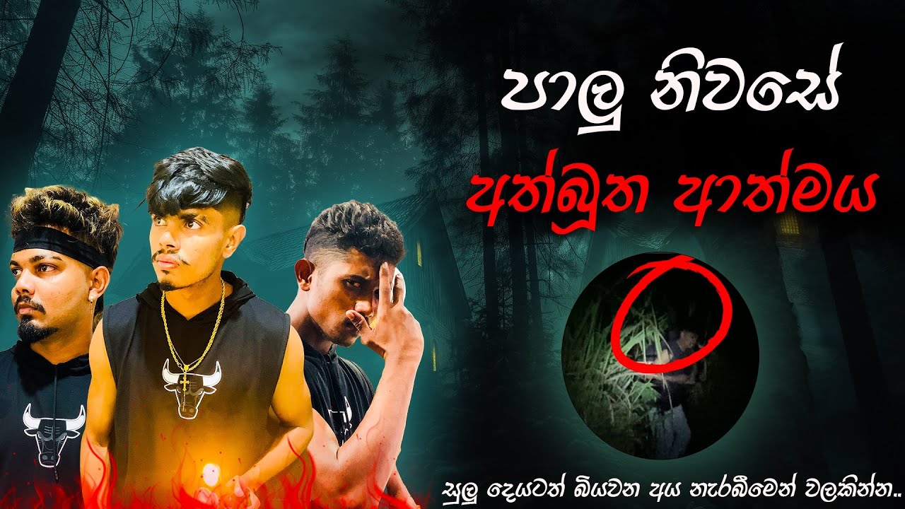 කලු පාට චායාවක් ඇවිත් මාව ඇදගෙන ගියා 😱 | හිස නැති මළ කද episode 2 | Haunted house | vlog 11