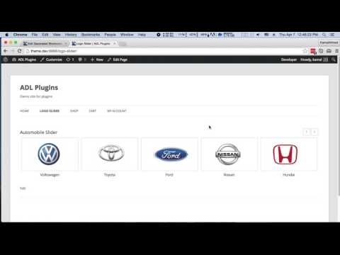 Logo Carousel Slider Pro