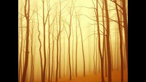Thumbnail of Fading Light