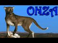 Onza - El tercer gran felino de México - Criptozoología