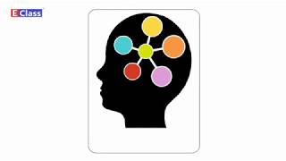 Standard 5, EVS 1 chapter 02 MindMap, English Medium, Maharashtra Board (updated syllabus)