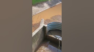 orange mushroom lets take them to ut college science lab microscope slides labs#isbnisd