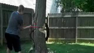 Cutting down a tree with an ax