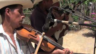 Canario Tradicional - Huasteca - Petatillo y Huaxuco, Xilitla