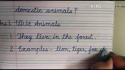 Class I  Subject EVS   Lesson  13 Animals Around Me Q Ans    by Ms  Seema Kharbanda