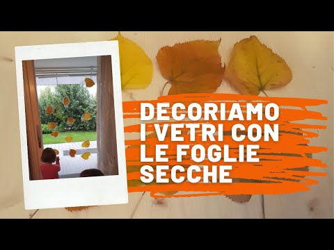 LAVORETTO SULL'AUTUNNO: DECORAZIONI DA FINESTRA CON LE FOGLIE SECCHE