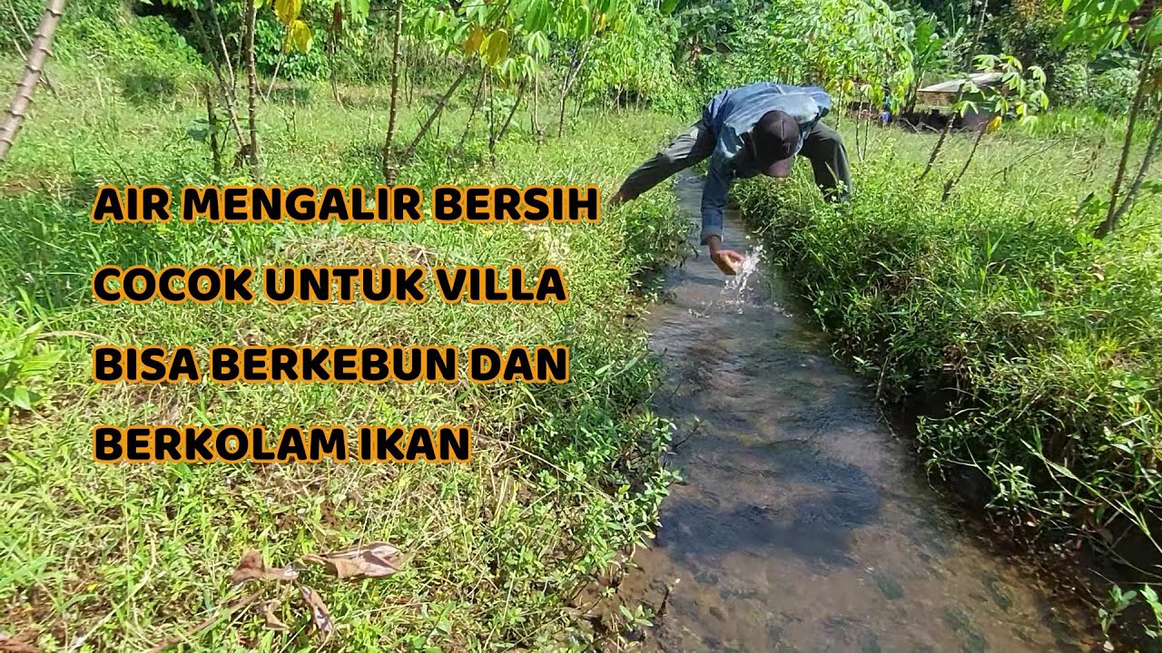 Tanah Super. Air Melimpah - Luas 1.061 Meter². Ciampea Bogor Jawa Barat - Harga 500 Juta Rupiah