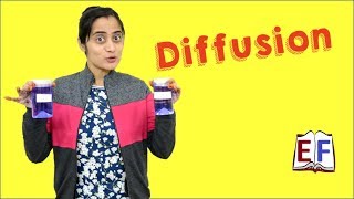 Lets understand Diffusion using Experiment : School Science Physics Project