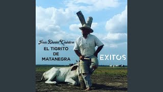 Colores de Bestias Buenas