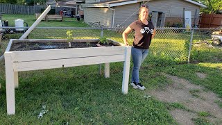 How To Build The Perfect Height Elevated, Raised Bed!