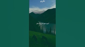 #القرآن_الكريم #تلاوة_خاشعة #ماهر_المعيقلي #السعودية
