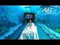 If I Lived in an Aquarium | CloeCouture