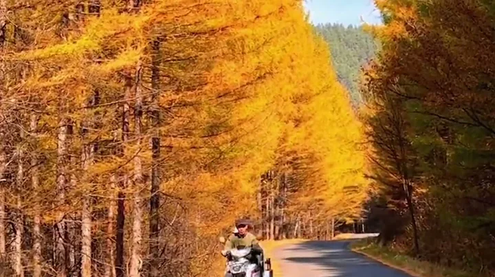 Kick Off a Self-drive Journey in Heilongjiang's Colorful Landscapes - DayDayNews