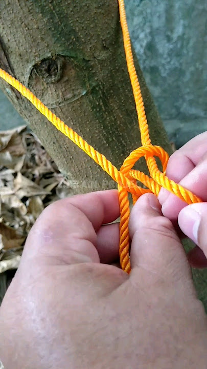 Easy way ! useful rope knots - method 34 #knot #craft #diy #knotskill #talimenali #talitemali