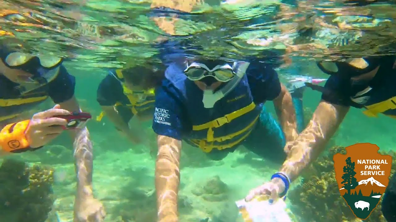 camera iphone 8 plus apk Outside Science (inside parks): Summer Programs in Guam (Audio Described)