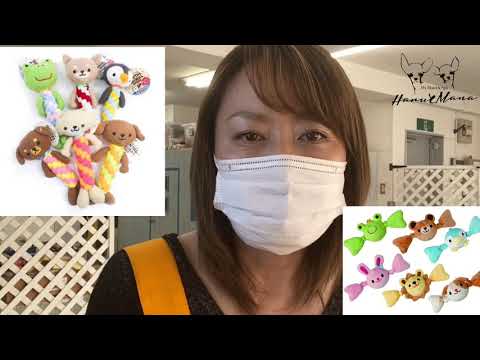 子犬の甘噛みしつけ方をわかりやすく解説！おうちで出来るドッグトレーニング【#25】
