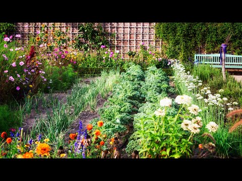 Video: Keukentuinontwerp: hoe een moestuin te laten groeien