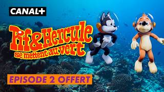 Pif et Hercule se mettent au vert - Le plastique & les tortues de mer - Épisode offert - CANAL+ Kids