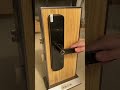 Tuya WiFi Smart Electronic Door Lock Biometric Fingerprint With Doorbell Notification APP Control