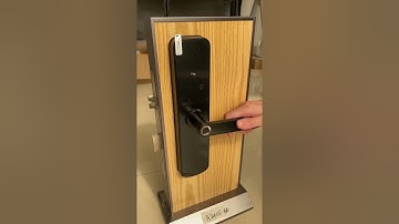 Tuya WiFi Smart Electronic Door Lock Biometric Fingerprint With Doorbell Notification APP Control