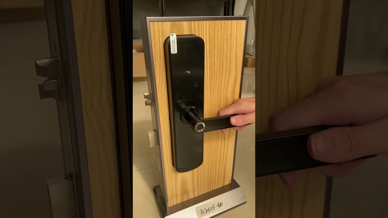 Intelligent Security Smart Home Digital Lock Tuya App Control Wifi