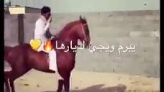 يبرم ويجي لدياره يبرم ويجي