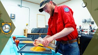 Trout Hatchery Tour - See How A Hatchery Works!