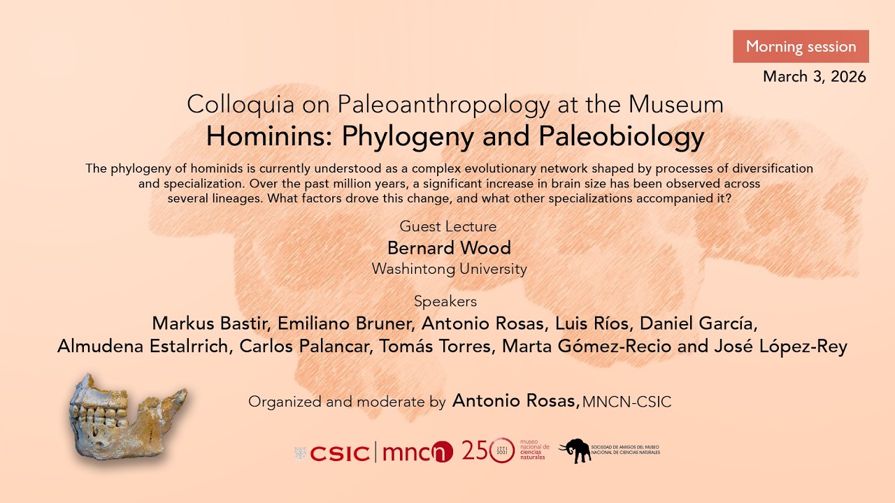 Sesión Tarde - Colloquia on Paleoanthropology at the Museum. Hominins: Phylogeny and Paleobiology