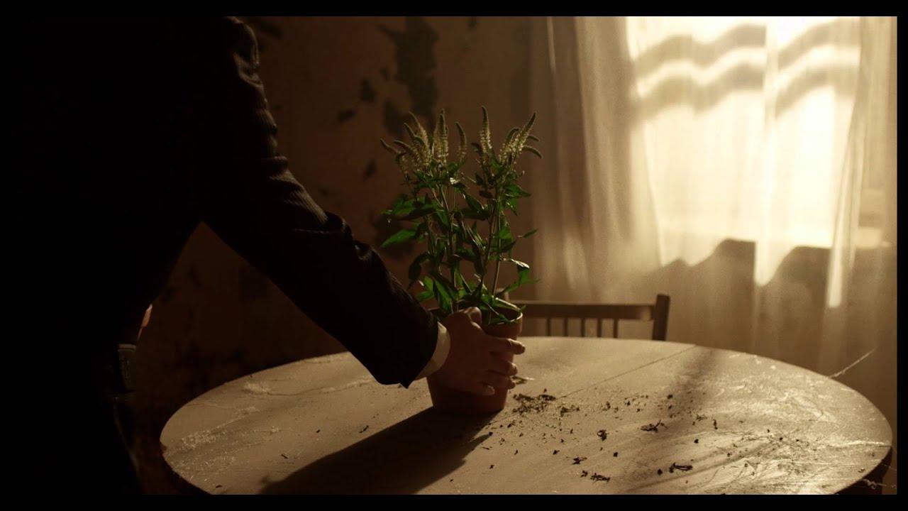 THE LOOPS OF EMPTINESS trailer / TUŠTUMOS KILPOS video anonsas