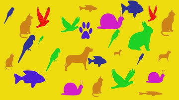 How to create custom shapes from images in Photoshop ( in Tamil with ESubs )