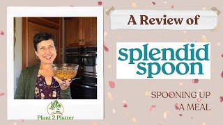 Spooning up a Meal! Splendid Spoon Meal Delivery Service Review by Plant 2 Platter
