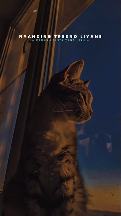 STORY WA LIRIK LAGU VIRAL TIKTOK 30 DETIK || NYANDING TRESNO LIYANE ( TRESNO LIYANE )