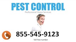 affordable pest control Hewitt, TX 