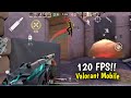 Valorant Mobile Radiant Push 120 FPS  | Global When !??