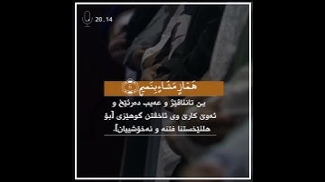 القارء سالم الرويلي (سورة القلم)