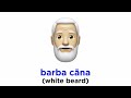 Latin Colors and Vocabulary Quiz