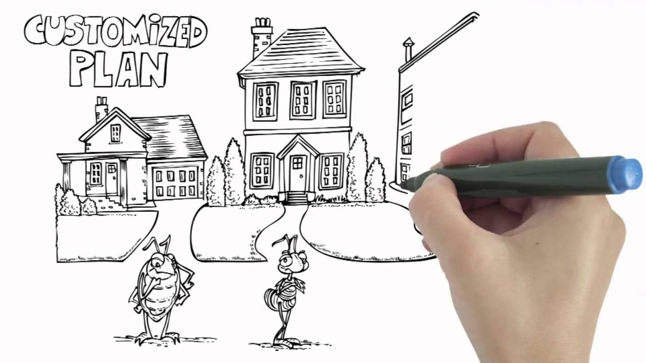 Northwest Exterminating Pest Control YouTube