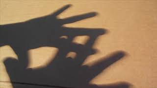 Great American Eclipse - Shadows on Fingers