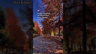 İnsanlarla xəyalar qurulmazmış.🍷🥀Whatsapp ucun sevgiyə aid maraqlı statuslar Sounds App mahnı Status