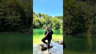 Polonyada Şehir İçinde Gizli Orman Ücretsiz