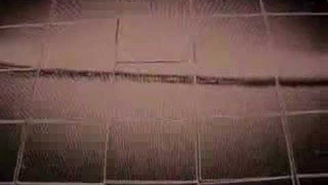 Rasterbator - Mystery Image