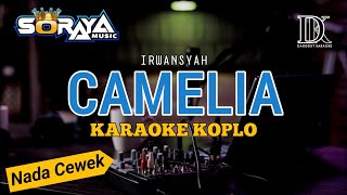 Download Lagu CAMELIA IRWANSYAH KARAOKE NADA CEWEK | VERSI SORAYA MUSIK MP3
