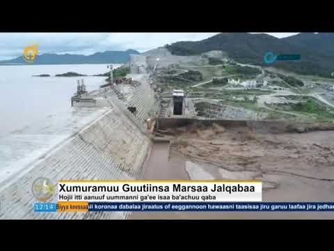 Xumuramuu Guutiinsa Hidha Haaroomsaa Marsaa Jalqabaa