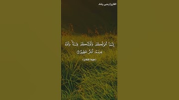 تلاوة عطرة لما تيسر من سورة التغابن بصوت القارئ الشيخ يحيى رشاد #quran #tiktok #quraan #قرآن
